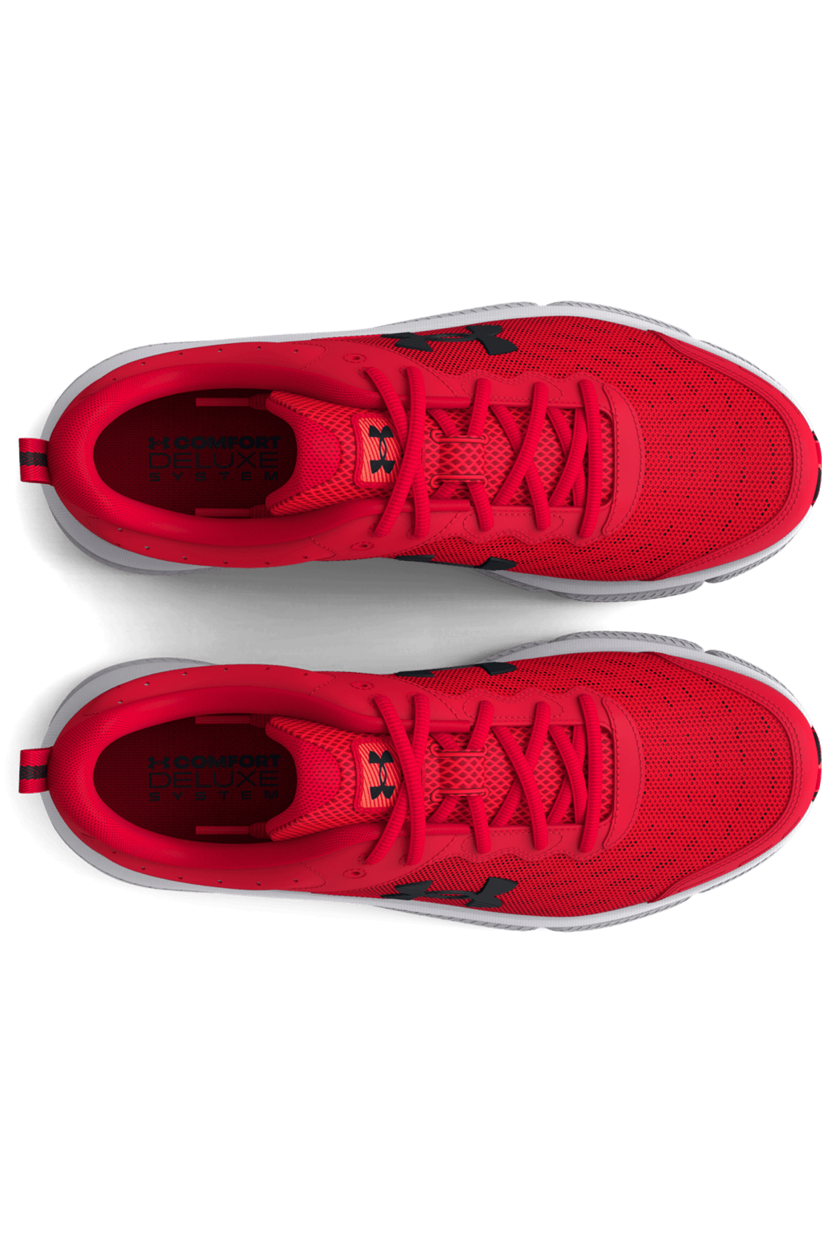 Tenis Under Armour  M Charged Assert 10