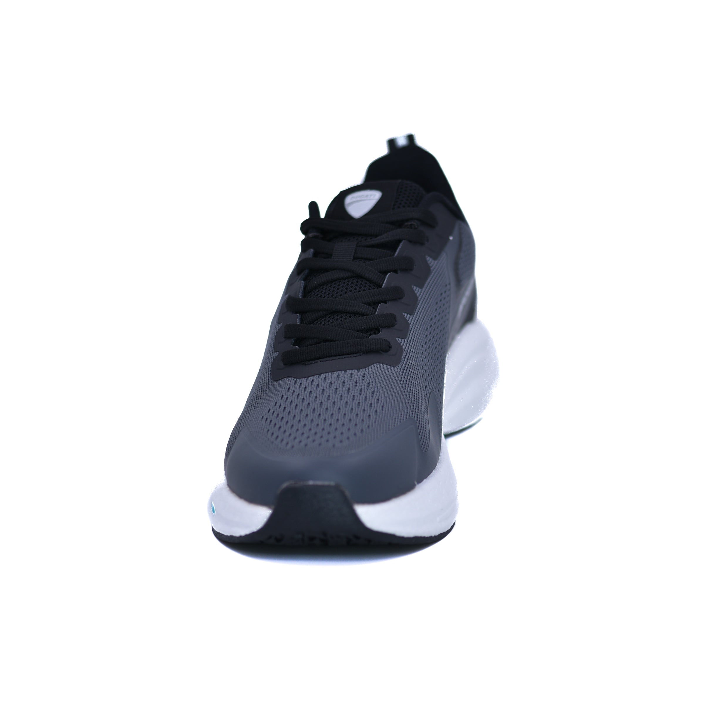 TENIS DUCATI YW246114HM