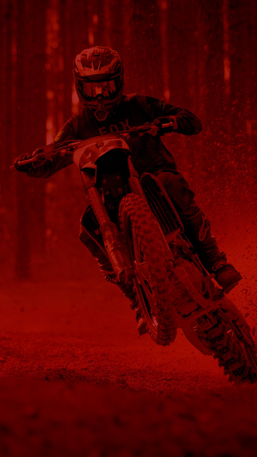 foto_fondo_rojo_fox.jpg